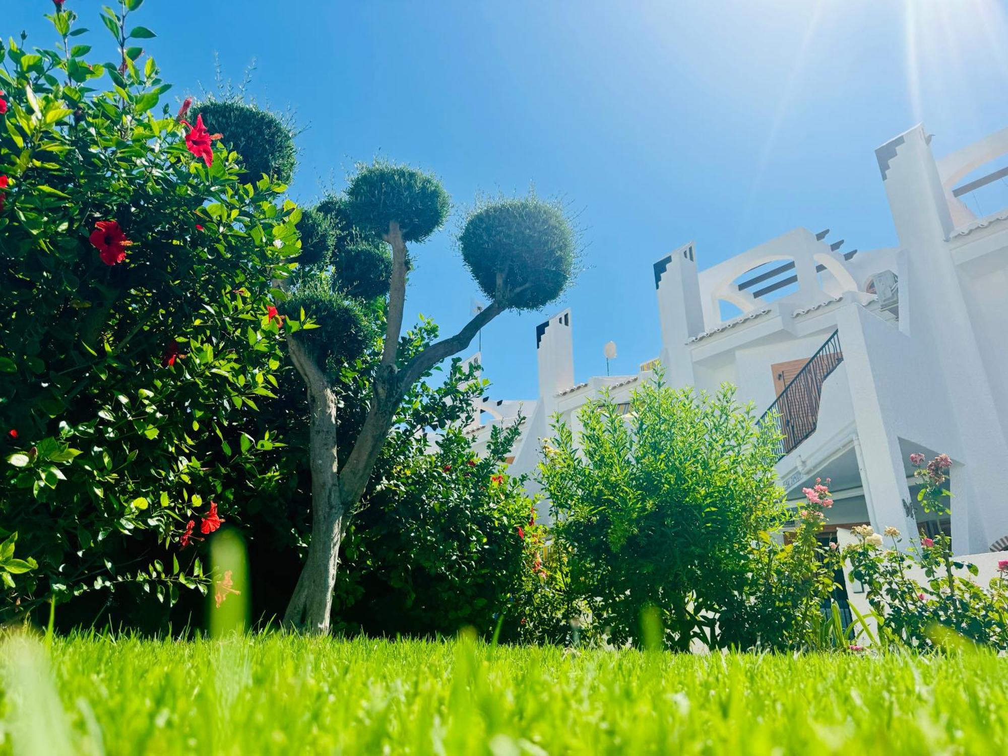 Villa Contemporary House In Cabo Roig Orihuela Exterior foto